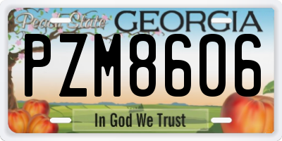 GA license plate PZM8606
