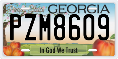 GA license plate PZM8609
