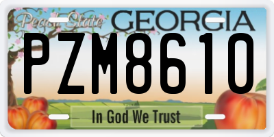 GA license plate PZM8610