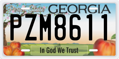 GA license plate PZM8611