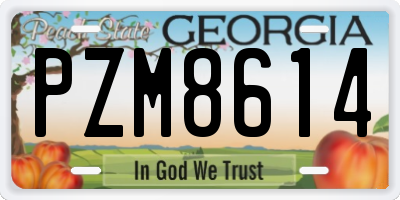 GA license plate PZM8614