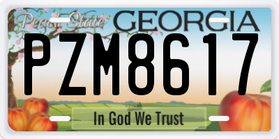 GA license plate PZM8617
