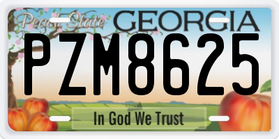 GA license plate PZM8625