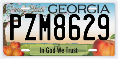 GA license plate PZM8629