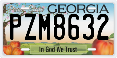 GA license plate PZM8632