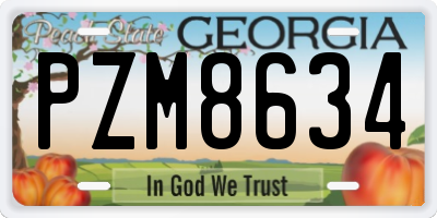 GA license plate PZM8634