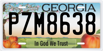 GA license plate PZM8638
