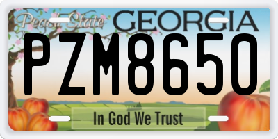 GA license plate PZM8650