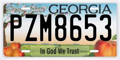 GA license plate PZM8653