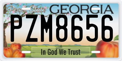 GA license plate PZM8656