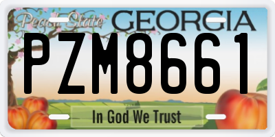 GA license plate PZM8661