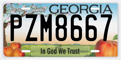 GA license plate PZM8667