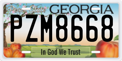 GA license plate PZM8668