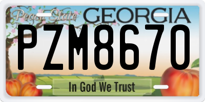 GA license plate PZM8670