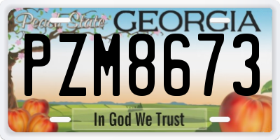 GA license plate PZM8673