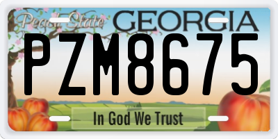 GA license plate PZM8675