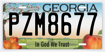 GA license plate PZM8677