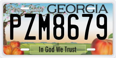 GA license plate PZM8679