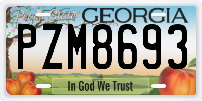 GA license plate PZM8693