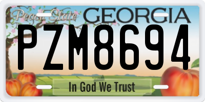 GA license plate PZM8694