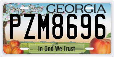 GA license plate PZM8696