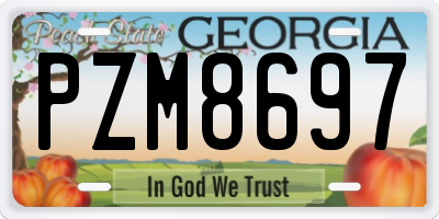 GA license plate PZM8697