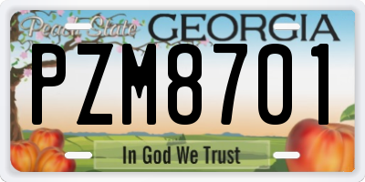 GA license plate PZM8701