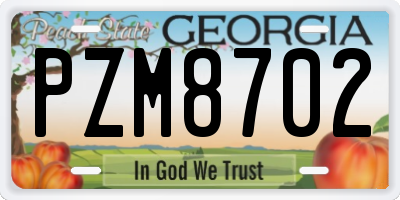 GA license plate PZM8702