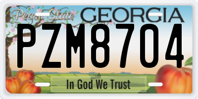 GA license plate PZM8704