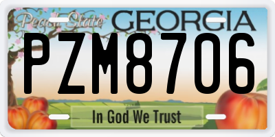 GA license plate PZM8706