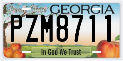 GA license plate PZM8711