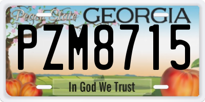 GA license plate PZM8715