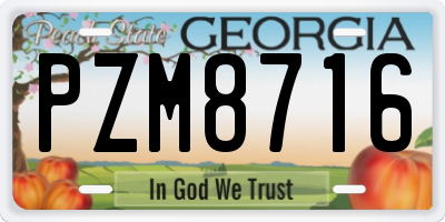 GA license plate PZM8716