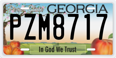 GA license plate PZM8717