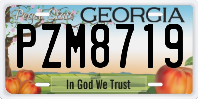 GA license plate PZM8719