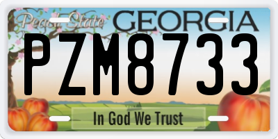 GA license plate PZM8733
