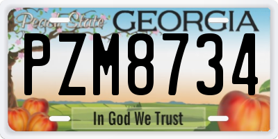 GA license plate PZM8734