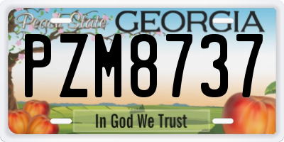 GA license plate PZM8737
