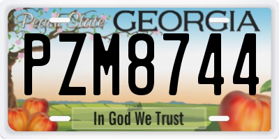 GA license plate PZM8744