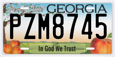 GA license plate PZM8745