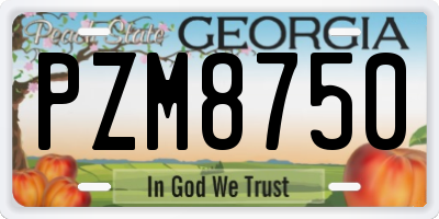GA license plate PZM8750