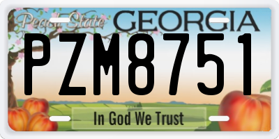 GA license plate PZM8751