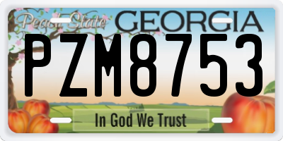 GA license plate PZM8753
