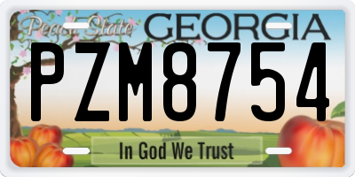 GA license plate PZM8754