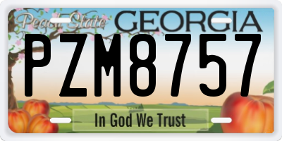 GA license plate PZM8757