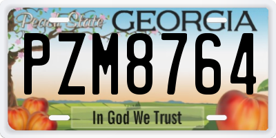 GA license plate PZM8764