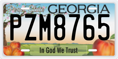 GA license plate PZM8765