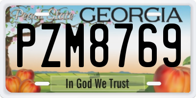 GA license plate PZM8769