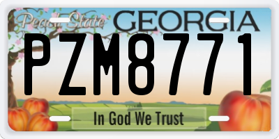 GA license plate PZM8771