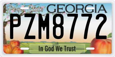 GA license plate PZM8772
